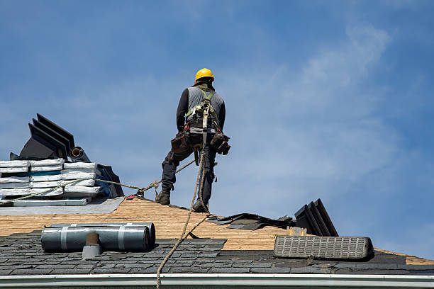 Professional Storm Damage Roof Repair technician working in Rich Square, NC